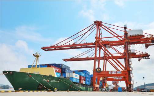 九五至尊VI状元岙港务分公司