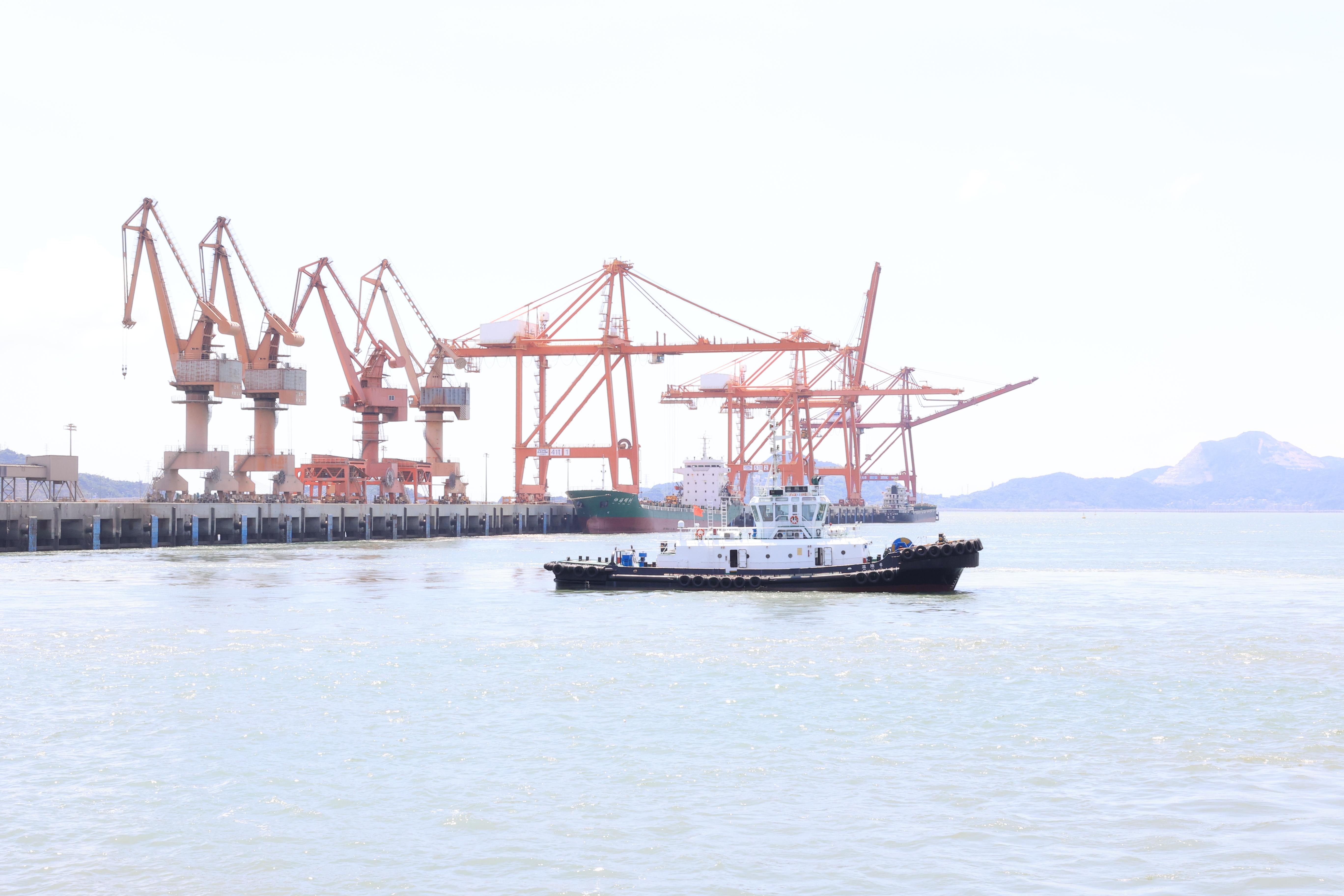 九五至尊VI-老品牌值得信任!