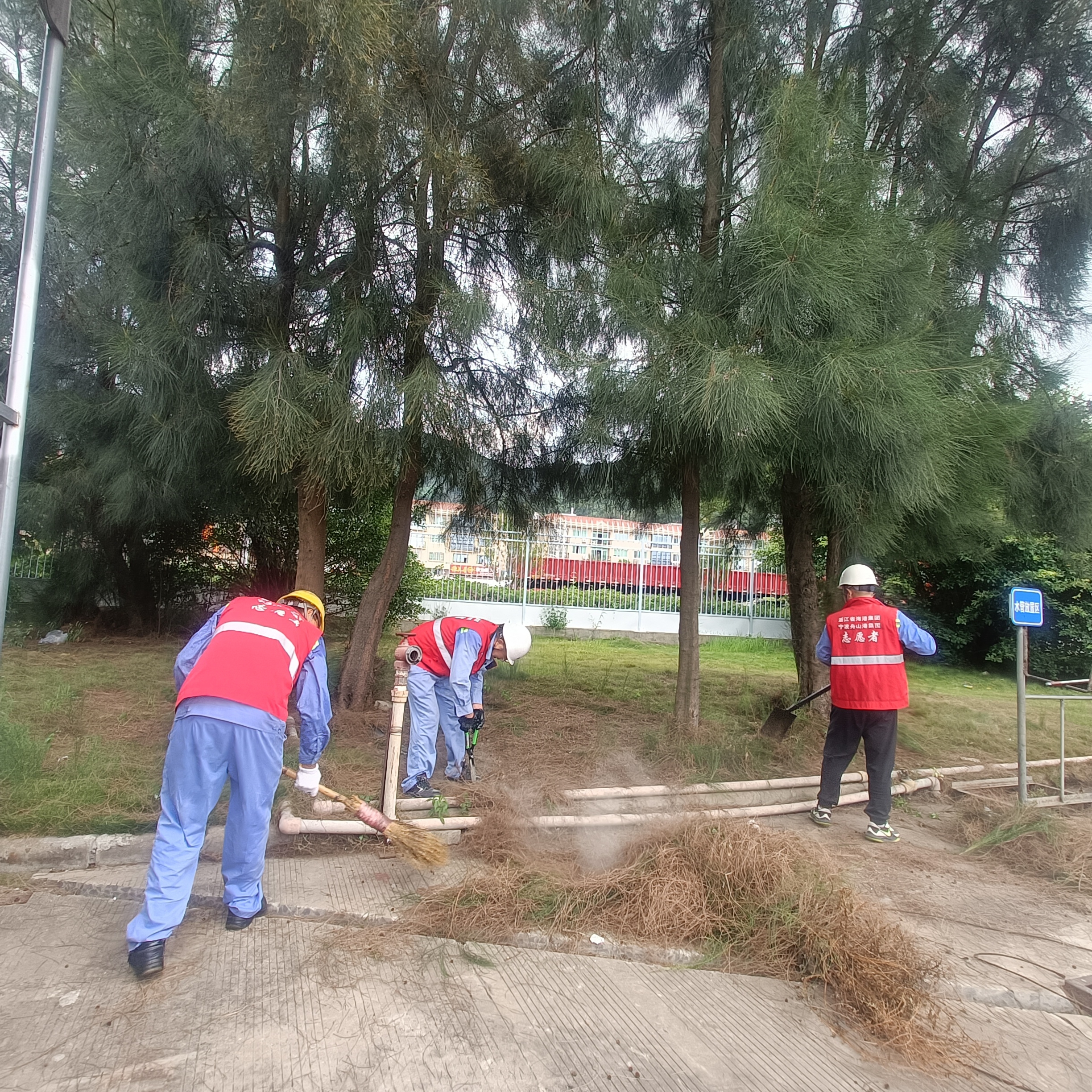 状元岙公司组织发展美化港区环境自愿服务活动