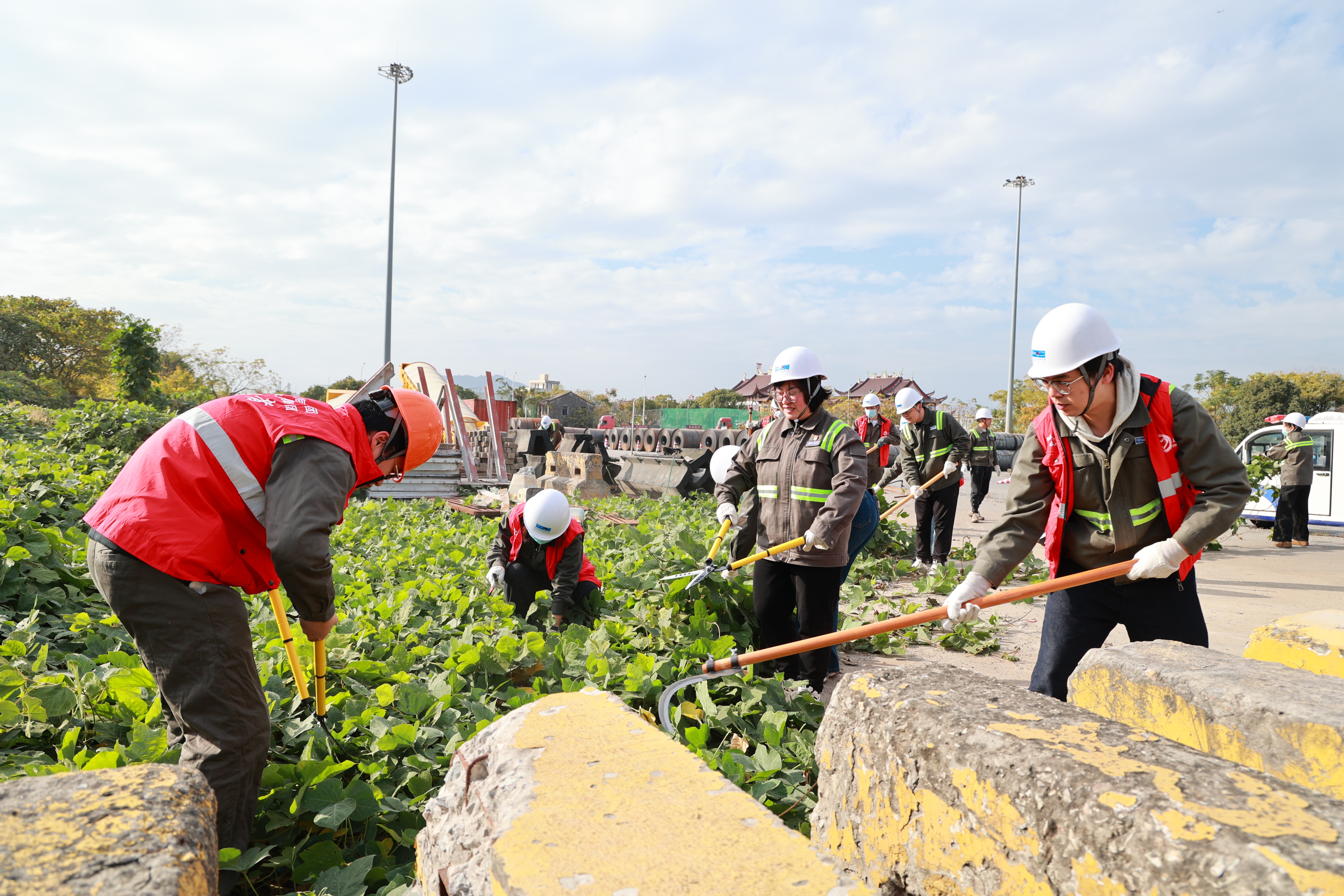 九五至尊VI-老品牌值得信任!