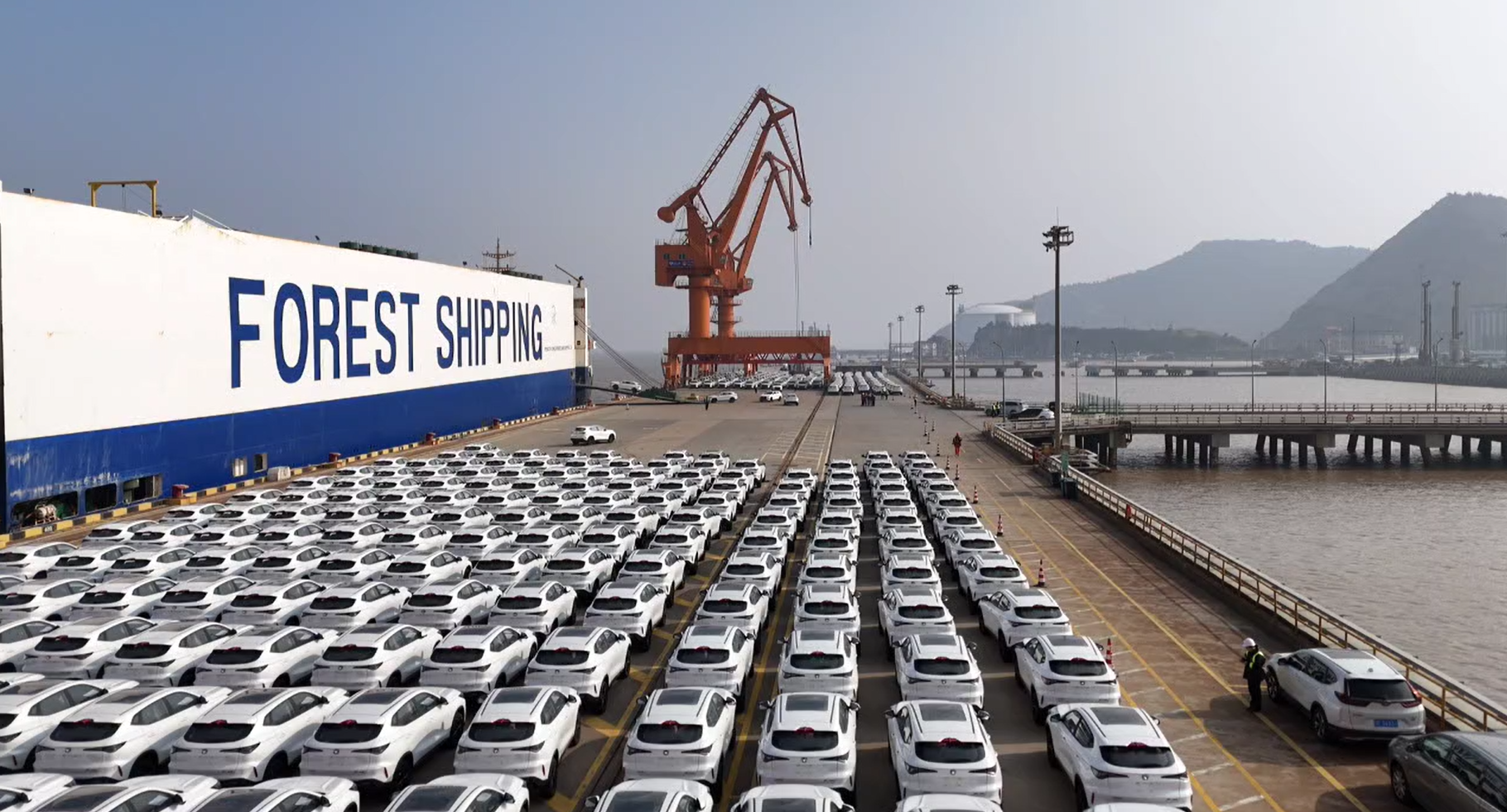 九五至尊VI-老品牌值得信任!