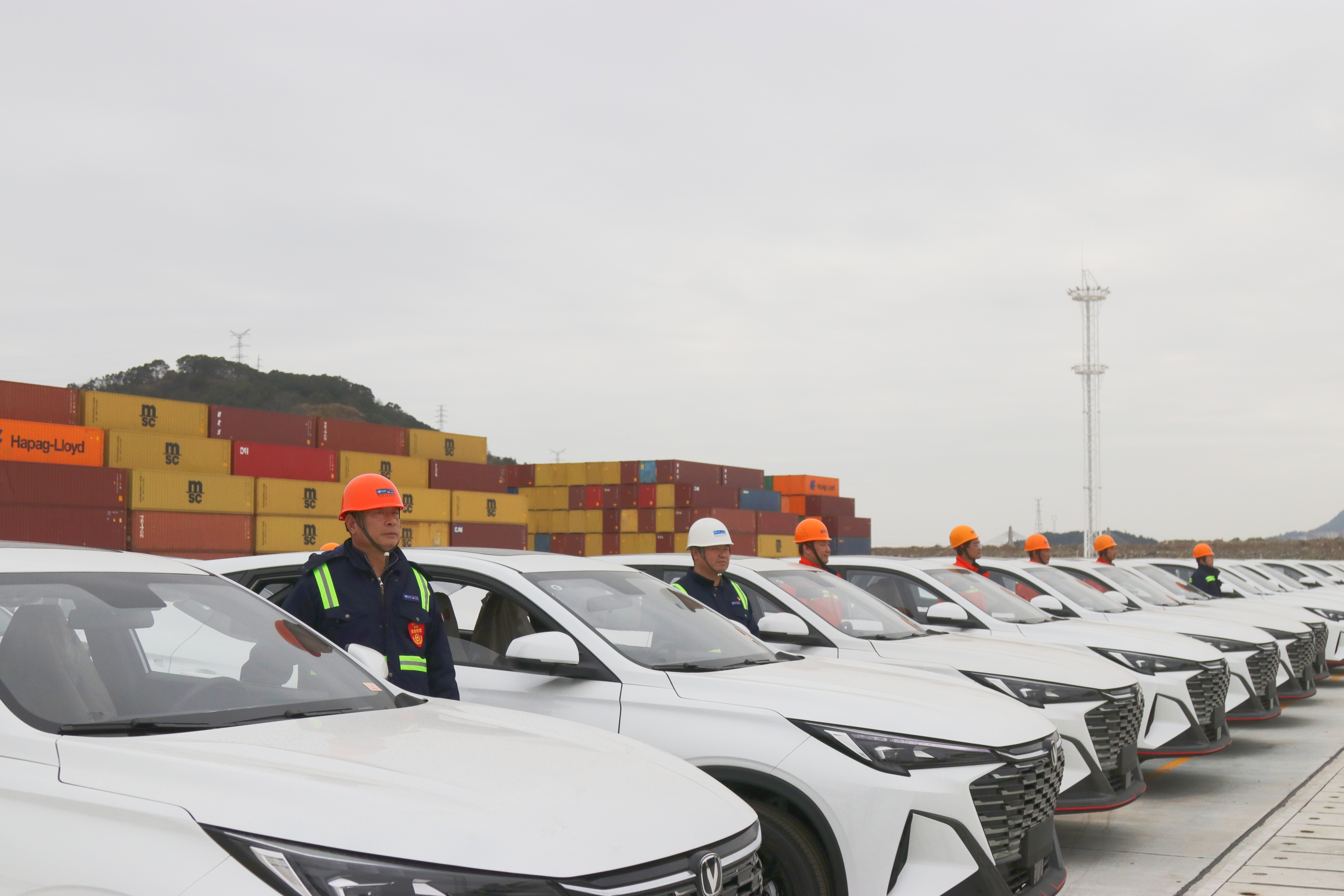 九五至尊VI-老品牌值得信任!